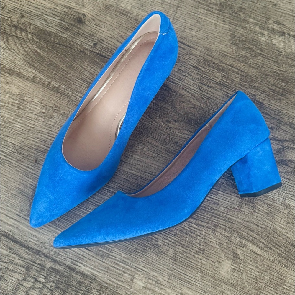 Women's Pointed Toe Block Heel Pumps - Blue
